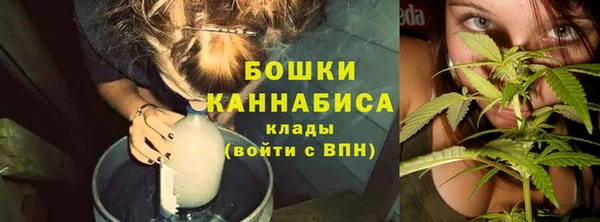 прущий лед Рославль